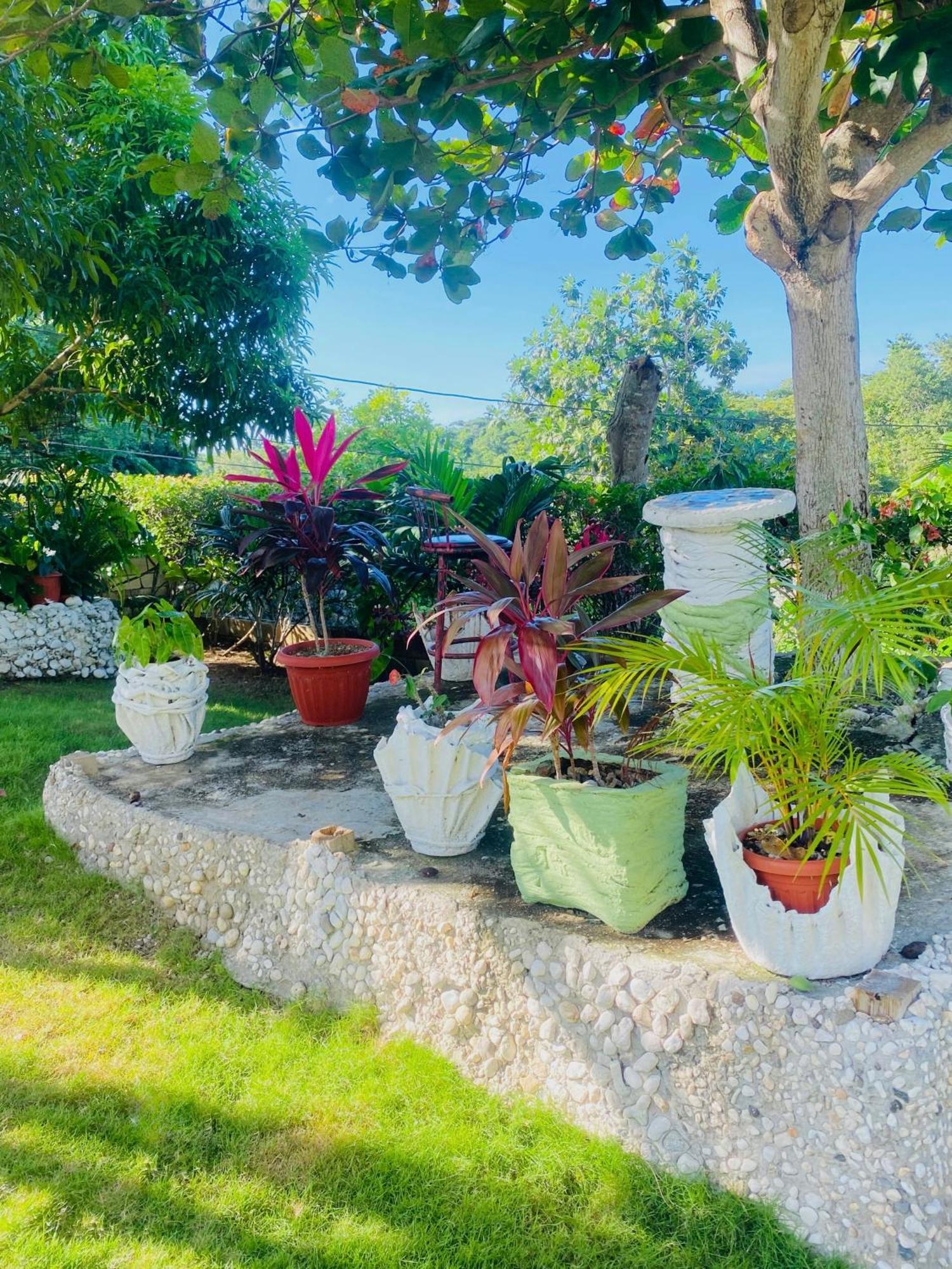 Cindy'S Garden Stay Ocho Rios Exterior photo